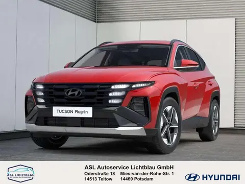 Annonce HYUNDAI TUCSON Hybride 2024 d'occasion 