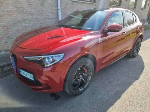 Annonce ALFA ROMEO STELVIO Essence 2019 d'occasion 