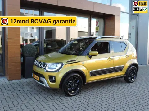 Annonce SUZUKI IGNIS Hybride 2020 d'occasion 