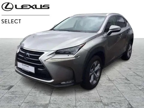 Used LEXUS NX Hybrid 2017 Ad 