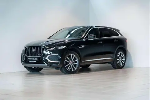 Used JAGUAR F-PACE Hybrid 2023 Ad 