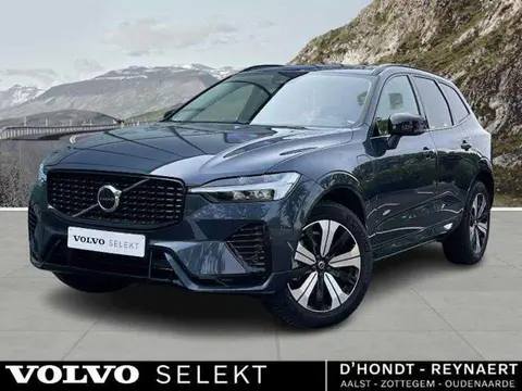 Annonce VOLVO XC60 Hybride 2023 d'occasion 