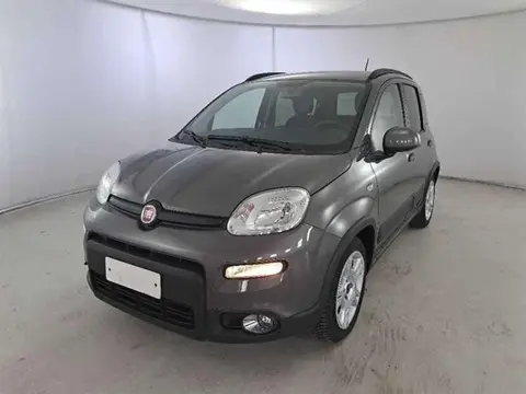 Used FIAT PANDA Hybrid 2023 Ad 