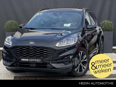 Used FORD KUGA Hybrid 2021 Ad 