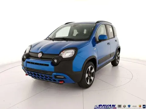 Used FIAT PANDA Hybrid 2024 Ad 