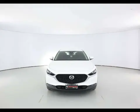 Annonce MAZDA CX-30 Hybride 2021 d'occasion 