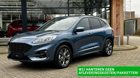 Used FORD KUGA Hybrid 2022 Ad 