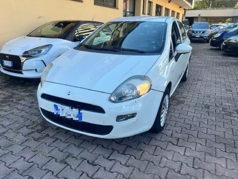 Used FIAT PUNTO Petrol 2017 Ad 