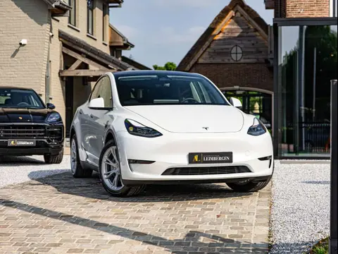 Annonce TESLA MODEL Y Électrique 2023 d'occasion 