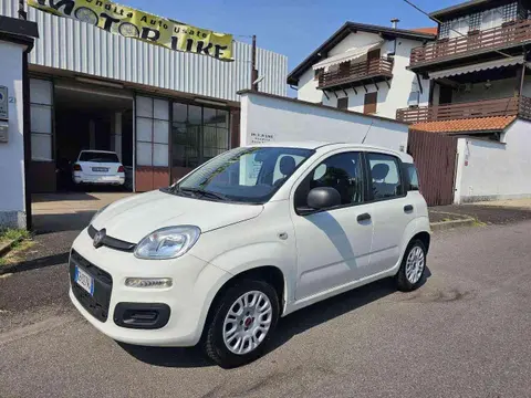 Used FIAT PANDA Petrol 2020 Ad 