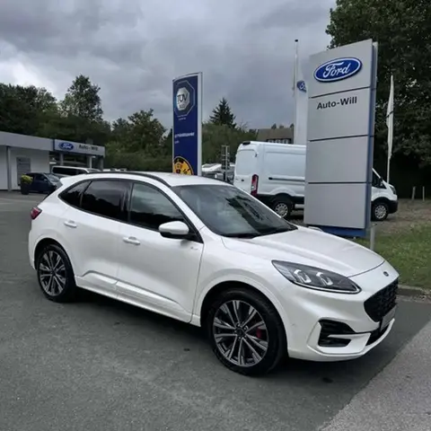 Used FORD KUGA Hybrid 2023 Ad 