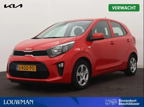 Used KIA PICANTO Petrol 2023 Ad 