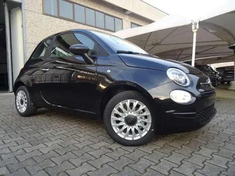 Used FIAT 500 Hybrid 2024 Ad 