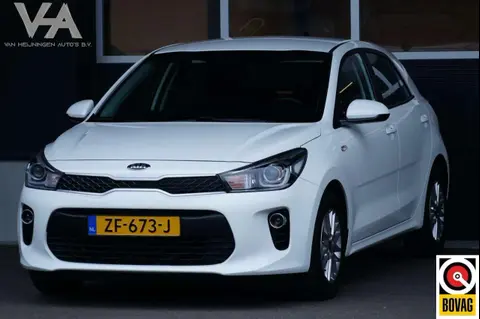 Used KIA RIO Petrol 2019 Ad 