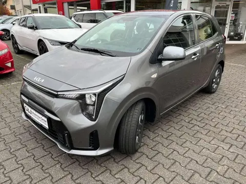 Used KIA PICANTO Petrol 2024 Ad 