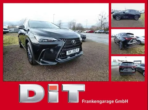 Annonce LEXUS NX Hybride 2024 d'occasion 