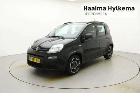 Used FIAT PANDA Hybrid 2022 Ad 