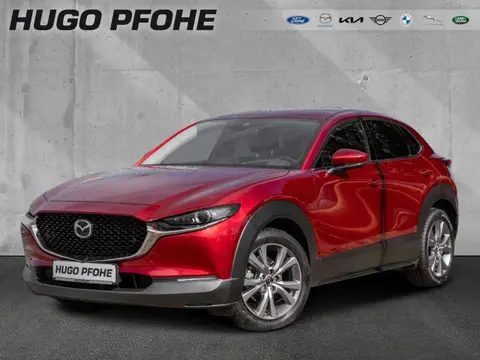 Annonce MAZDA CX-30 Essence 2022 d'occasion 