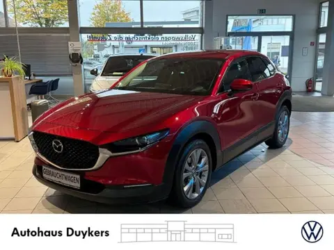 Annonce MAZDA CX-30 Essence 2021 d'occasion 