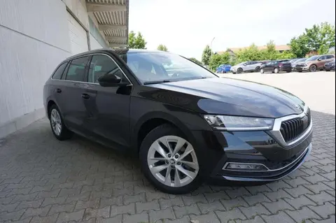 Annonce SKODA OCTAVIA Diesel 2021 d'occasion 