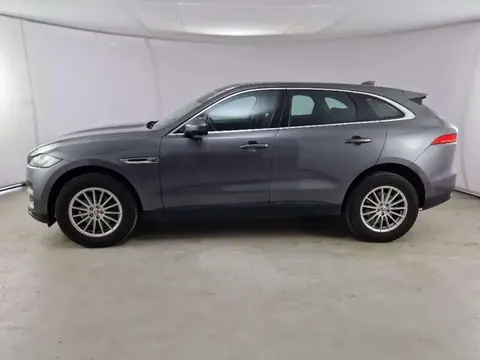 Used JAGUAR F-PACE Diesel 2019 Ad 