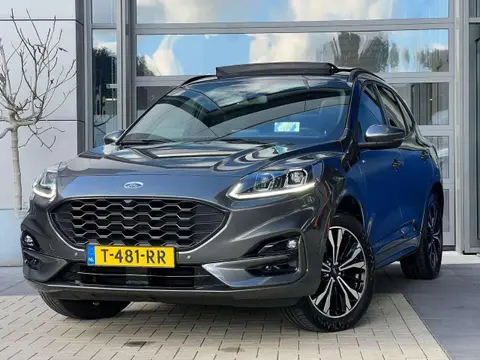 Annonce FORD KUGA Hybride 2023 d'occasion 