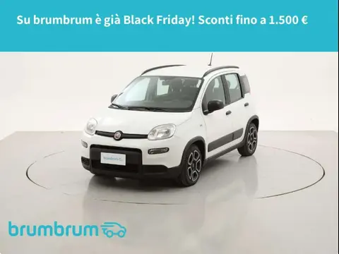 Used FIAT PANDA Hybrid 2022 Ad 