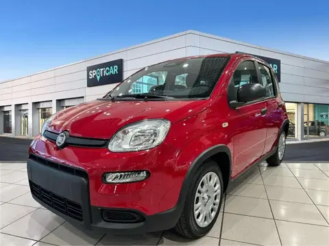 Annonce FIAT PANDA Hybride 2024 d'occasion 