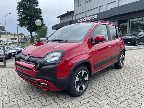 Annonce FIAT PANDA Hybride 2024 d'occasion 