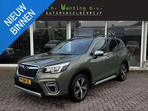 Used SUBARU FORESTER Hybrid 2020 Ad 