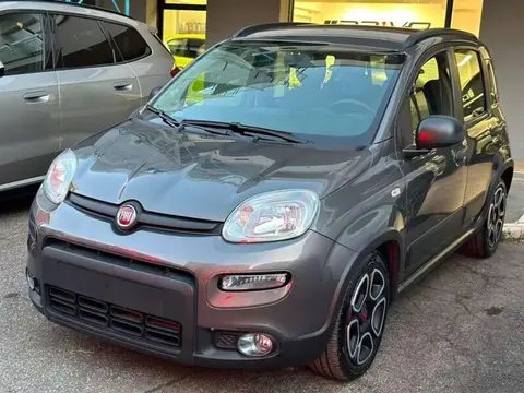 Used FIAT PANDA Hybrid 2022 Ad 