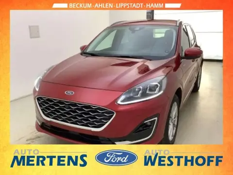 Used FORD KUGA Hybrid 2023 Ad 