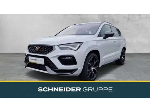 Annonce CUPRA ATECA Essence 2024 d'occasion 