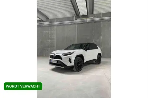 Used TOYOTA RAV4 Hybrid 2024 Ad 