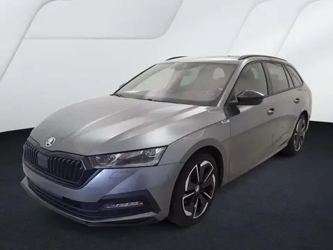 Annonce SKODA OCTAVIA Diesel 2024 d'occasion 