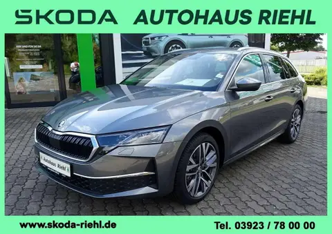 Used SKODA OCTAVIA Diesel 2024 Ad 