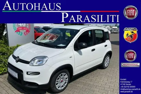 Annonce FIAT PANDA Essence 2024 d'occasion 