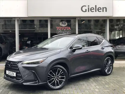 Annonce LEXUS NX Hybride 2022 d'occasion 