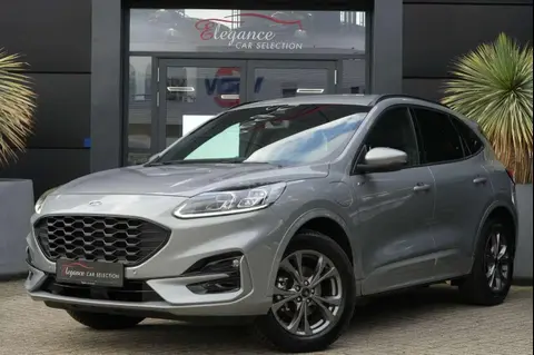 Annonce FORD KUGA Hybride 2023 d'occasion 