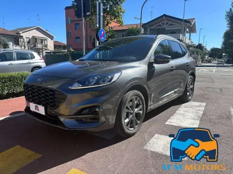 Annonce FORD KUGA Hybride 2021 d'occasion 