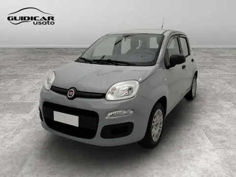 Annonce FIAT PANDA Essence 2019 d'occasion 