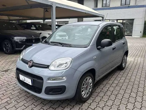 Annonce FIAT PANDA Hybride 2022 d'occasion 