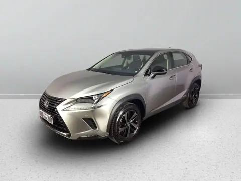 Used LEXUS NX Hybrid 2019 Ad 