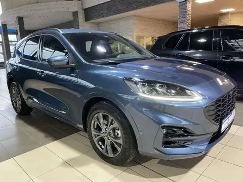 Used FORD KUGA Petrol 2021 Ad 