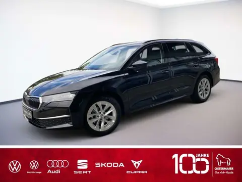 Annonce SKODA OCTAVIA Diesel 2024 d'occasion 