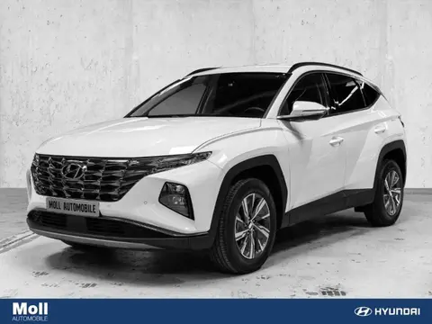 Annonce HYUNDAI TUCSON Hybride 2024 d'occasion 