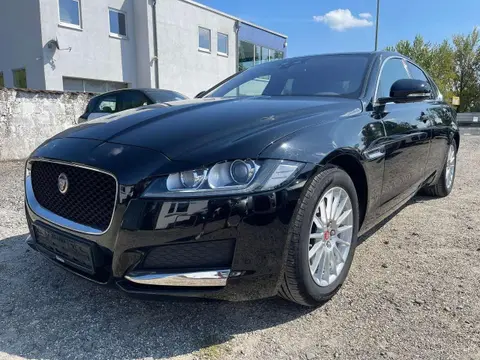 Used JAGUAR XF Diesel 2018 Ad 