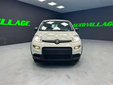 Used FIAT PANDA Hybrid 2024 Ad 