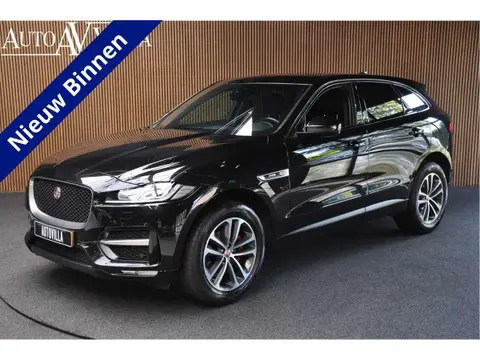 Used JAGUAR F-PACE Diesel 2021 Ad 