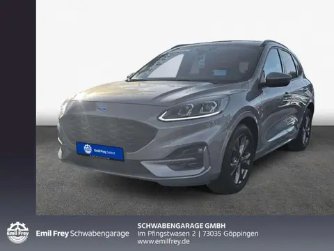 Annonce FORD KUGA Diesel 2023 d'occasion 